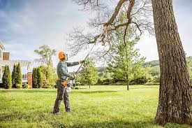 Best Tree Trimming and Pruning  in Lonsdale, MN